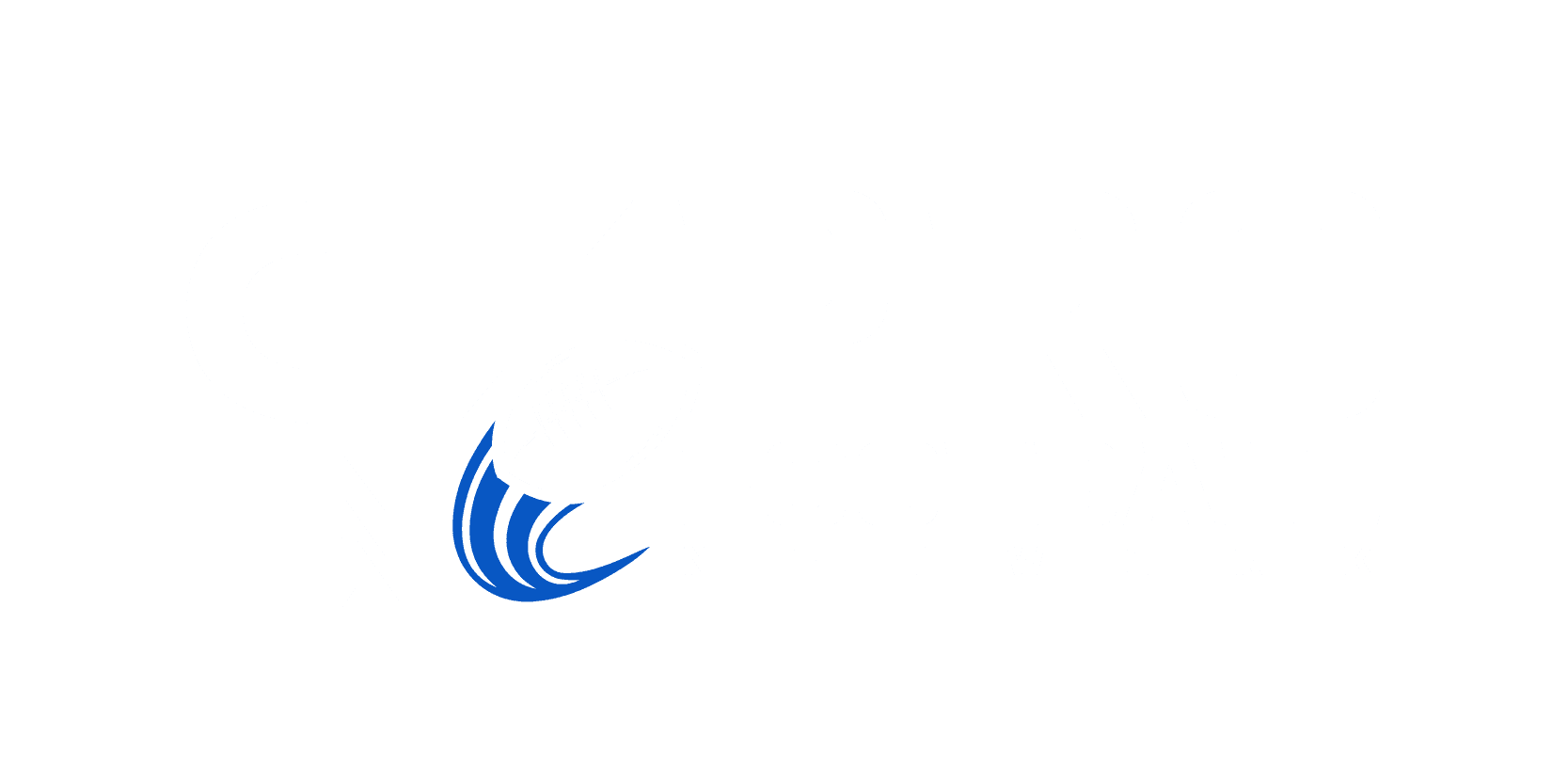 Pro Football Network logo
